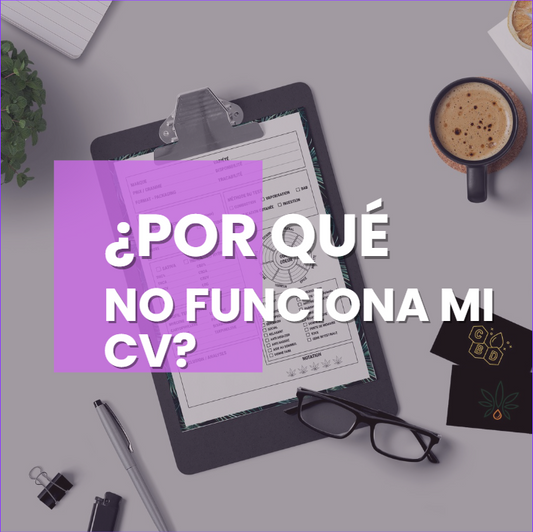 Revision de Curriculum Vitae